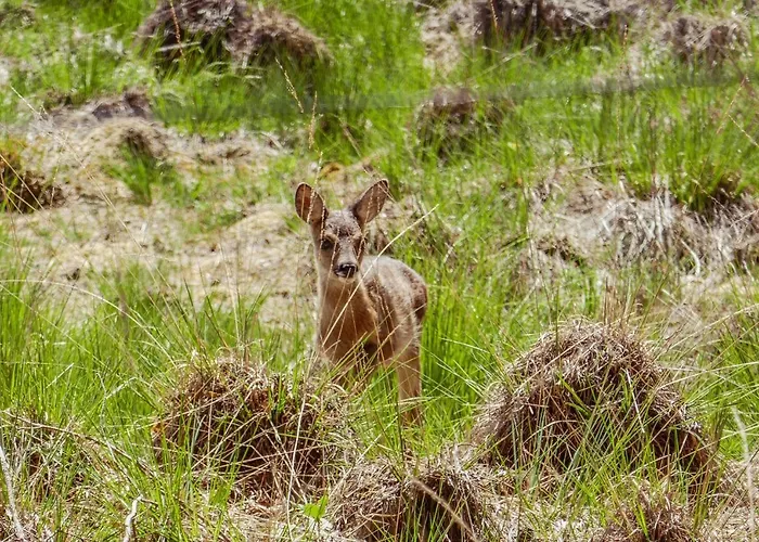 Op Dn Kreijtenberg 4*