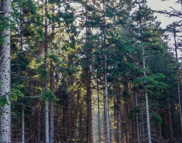 Bed & Breakfast Op Dn Kreijtenberg Milheeze