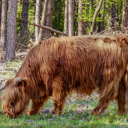 Op D’n Kreijtenberg * Milheeze