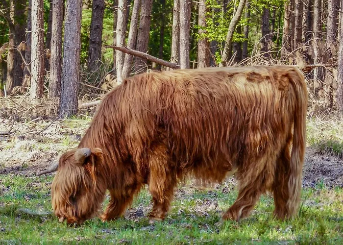 Op Dn Kreijtenberg 4* Milheeze